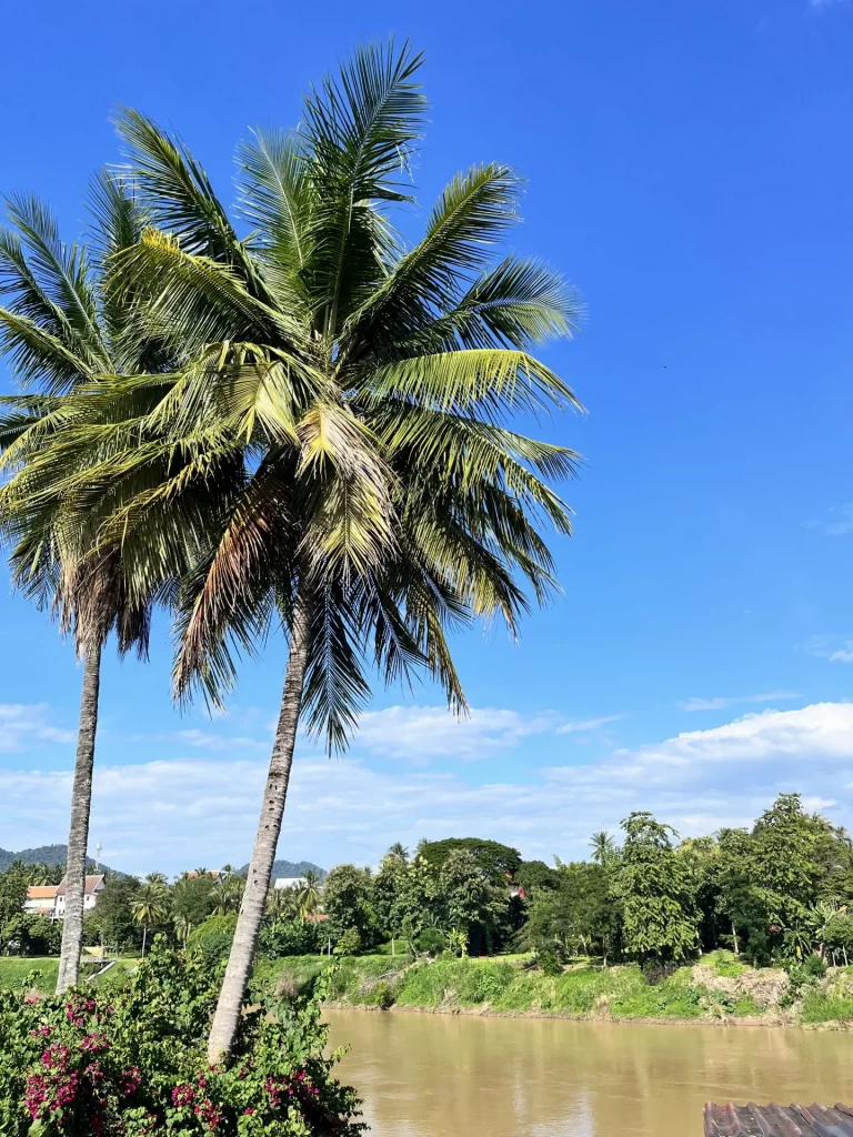 Laos Backpacking Tour - Luang Prabang Nam Khan River