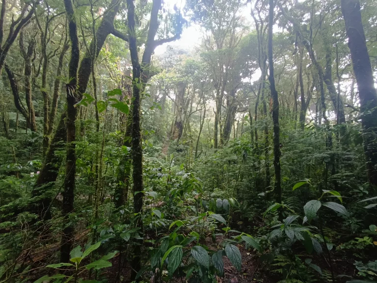 Santa Elena Reservat