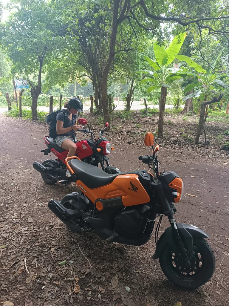 Nicaragua Backpacking - Bikes auf Ometepe