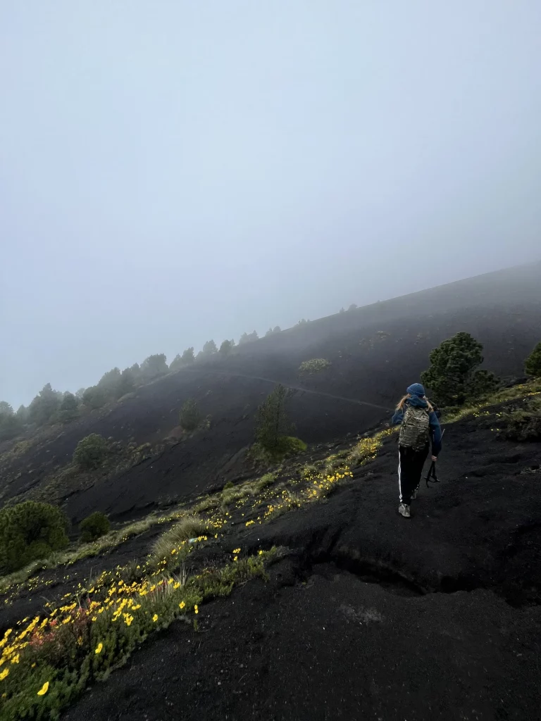 Acatenango Vulkan Wanderung - Rückweg vom Acatenango