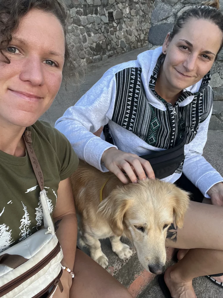 Guatemala Individualreise in 7 Tagen - Straßenhund in Panajchel