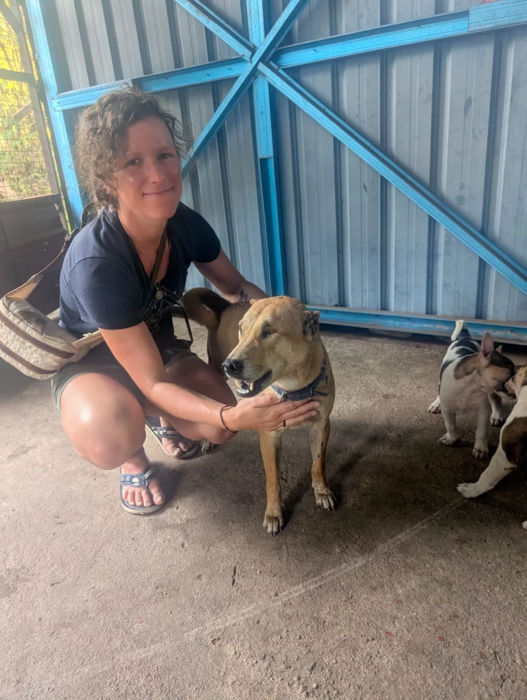 Langkawi Woof Tierheim