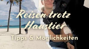 Reisen trotz Haustier