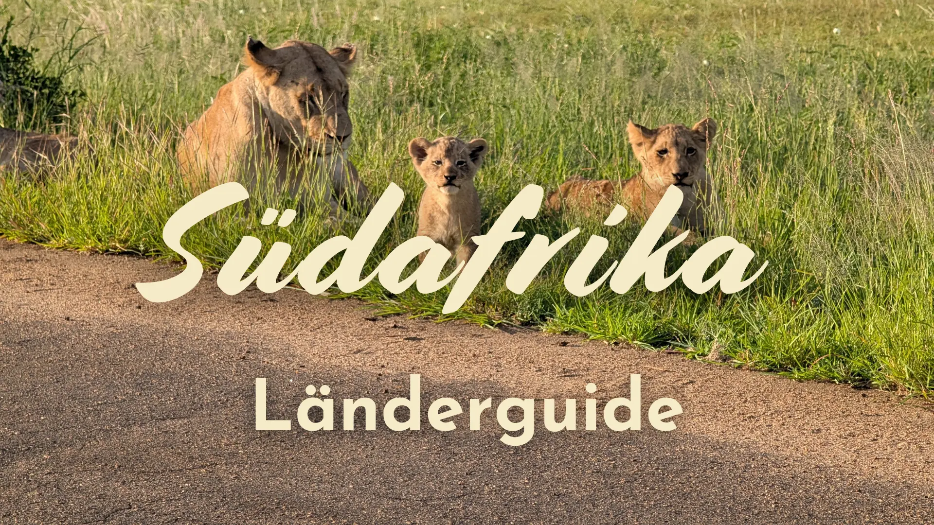 Südafrika Länderguide