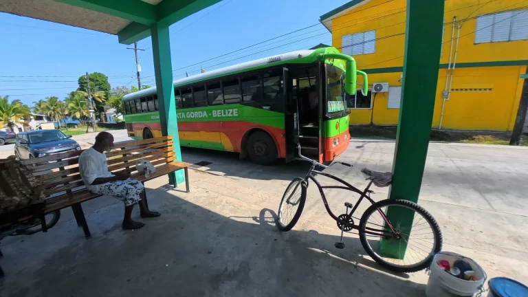 Belize James Bus Line
