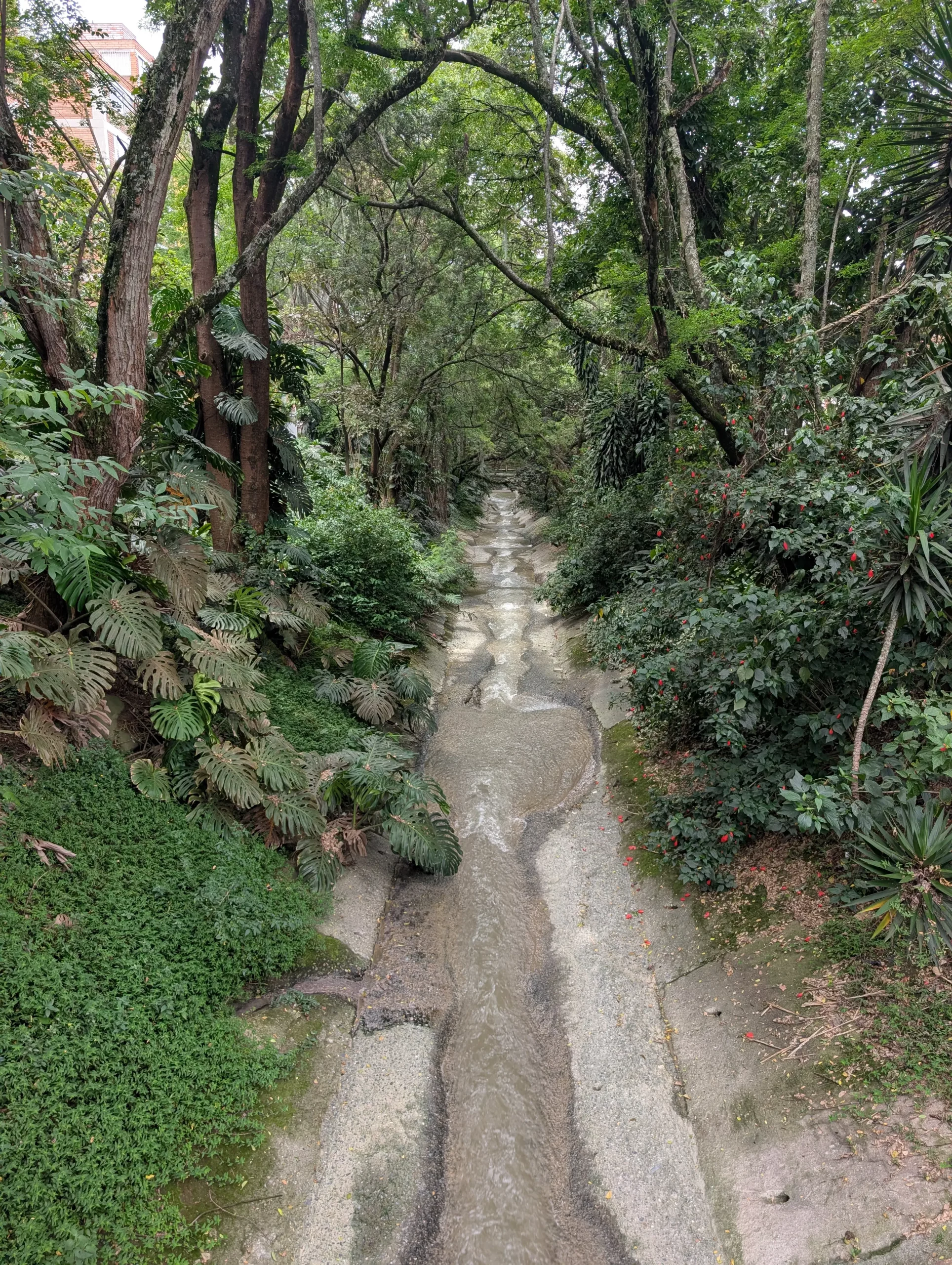Fluss mit grünen Bäumen im charmanten Viertel Laureles in Medellín, Kolumbien.