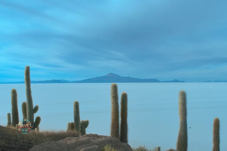 Salar de Uyuni Insel Incahuasi Sonnenuntergang