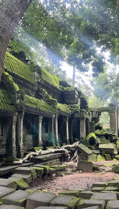 Ta Prohm Tempel