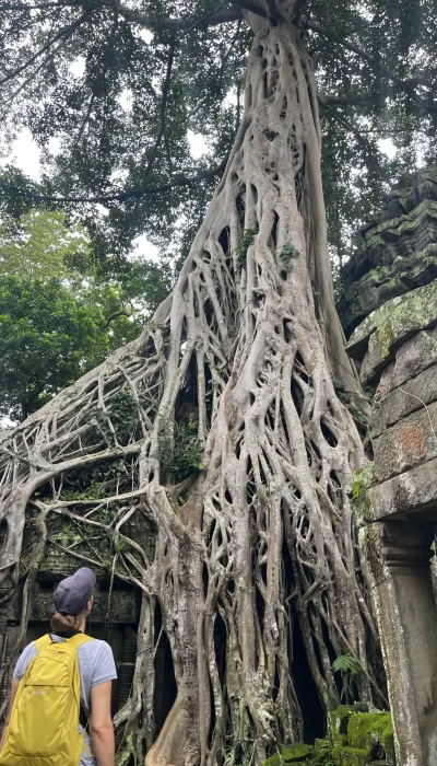 Ta Prohm Tempel