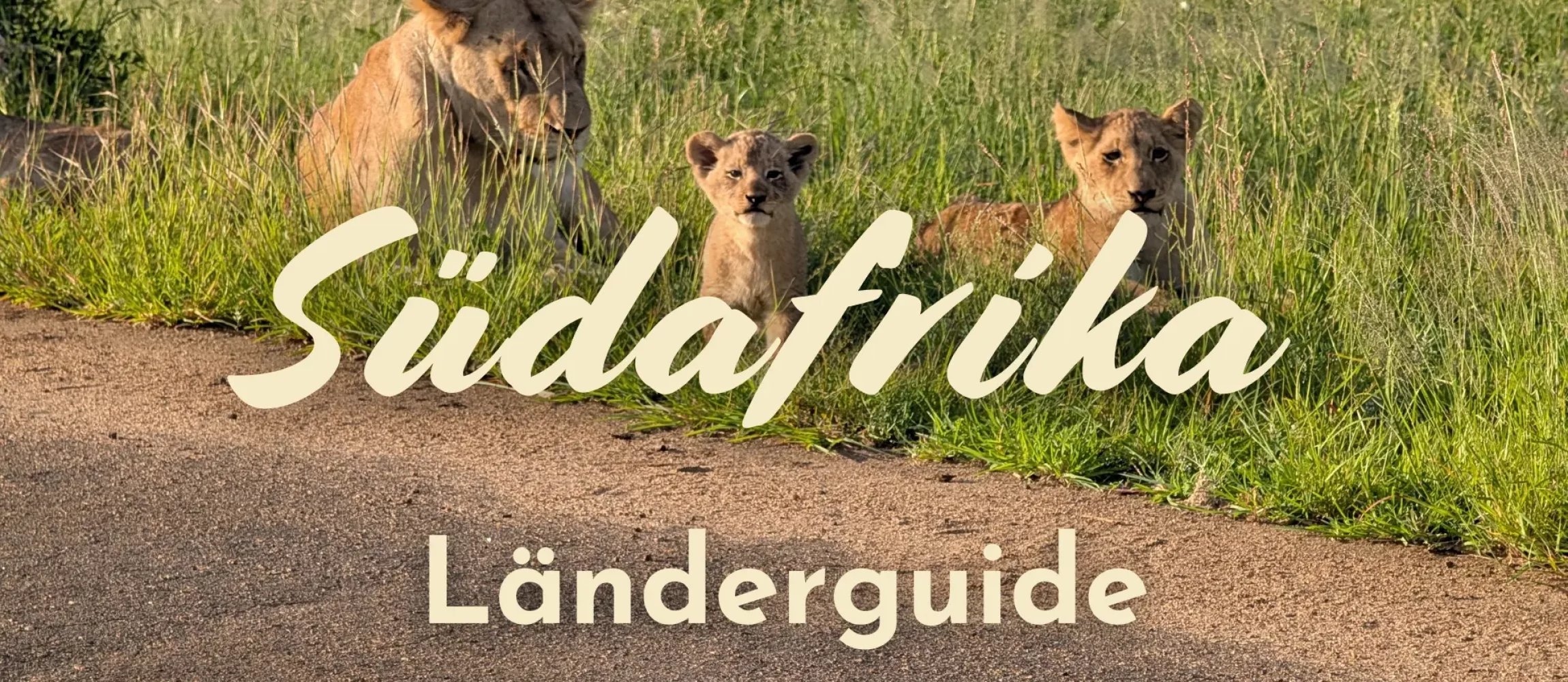 Südafrika Länderguide